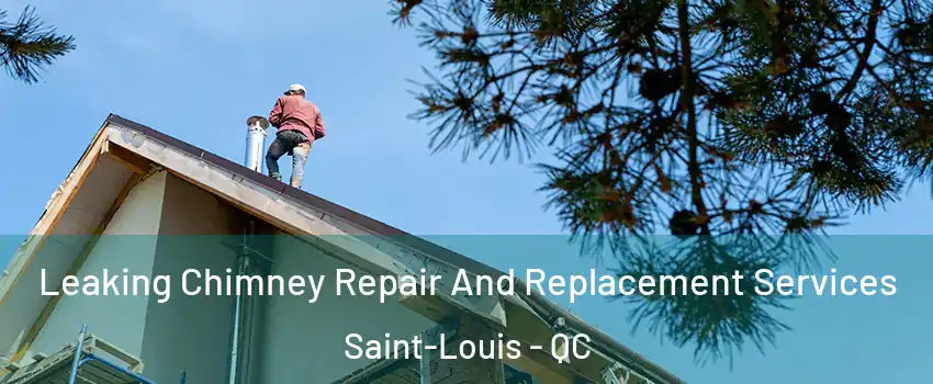  Leaking Chimney Repair And Replacement Services Saint-Louis - QC