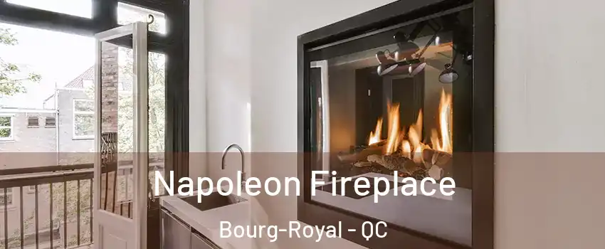  Napoleon Fireplace Bourg-Royal - QC