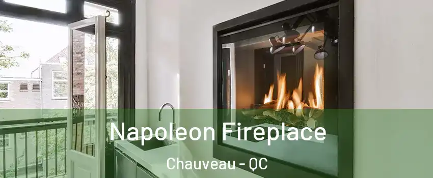  Napoleon Fireplace Chauveau - QC