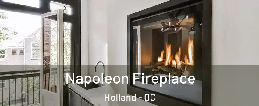  Napoleon Fireplace Holland - QC