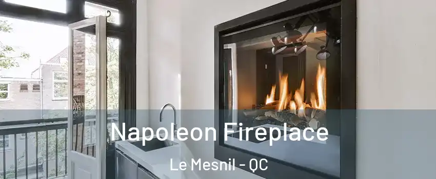  Napoleon Fireplace Le Mesnil - QC