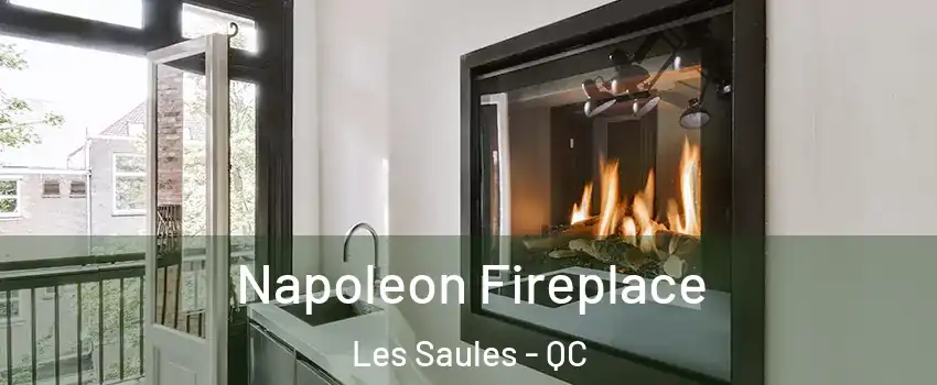 Napoleon Fireplace Les Saules - QC