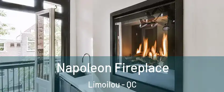  Napoleon Fireplace Limoilou - QC