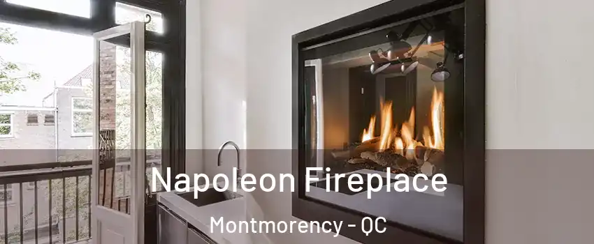  Napoleon Fireplace Montmorency - QC