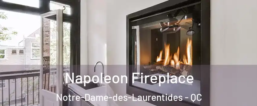 Napoleon Fireplace Notre-Dame-des-Laurentides - QC