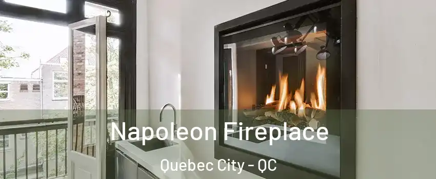  Napoleon Fireplace Quebec City - QC