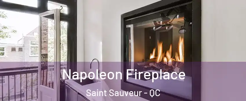  Napoleon Fireplace Saint Sauveur - QC