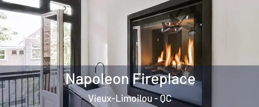  Napoleon Fireplace Vieux-Limoilou - QC