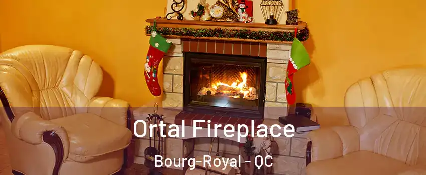  Ortal Fireplace Bourg-Royal - QC