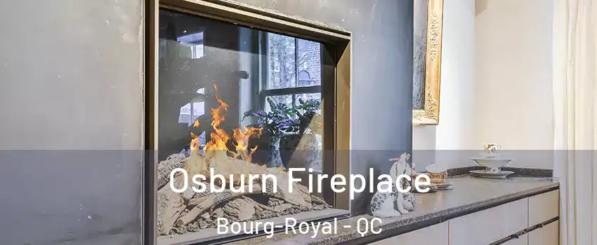  Osburn Fireplace Bourg-Royal - QC