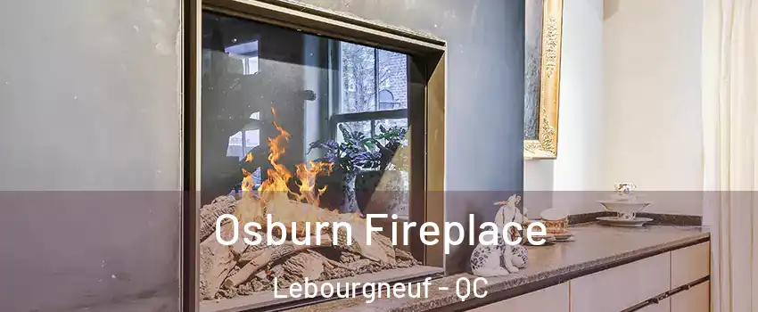  Osburn Fireplace Lebourgneuf - QC