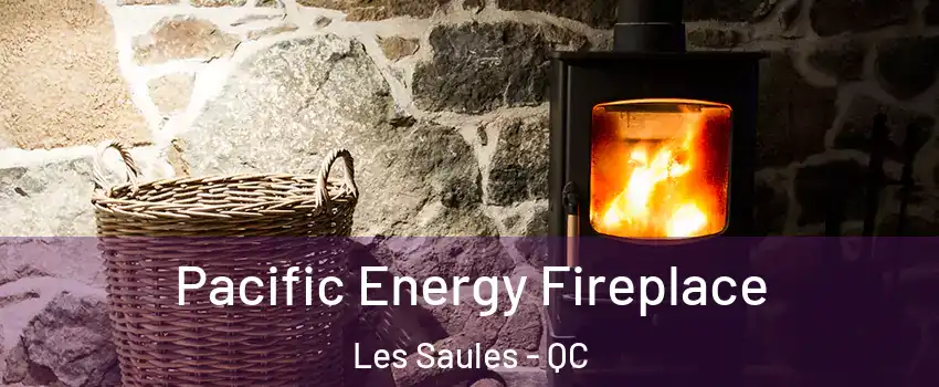  Pacific Energy Fireplace Les Saules - QC