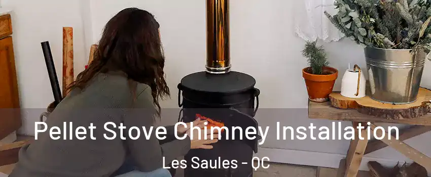  Pellet Stove Chimney Installation Les Saules - QC