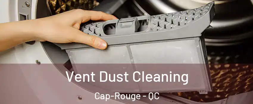  Vent Dust Cleaning Cap-Rouge - QC