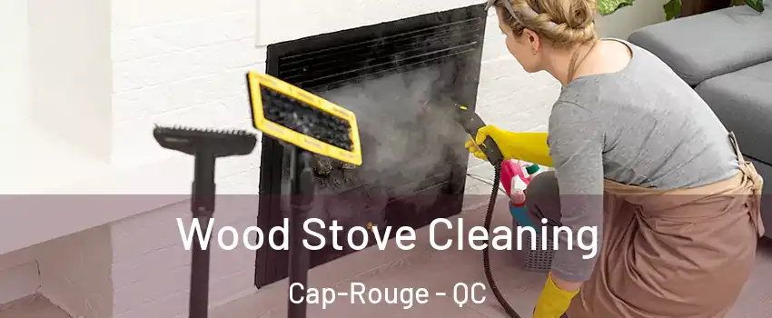  Wood Stove Cleaning Cap-Rouge - QC