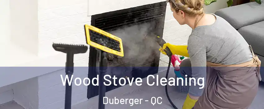  Wood Stove Cleaning Duberger - QC