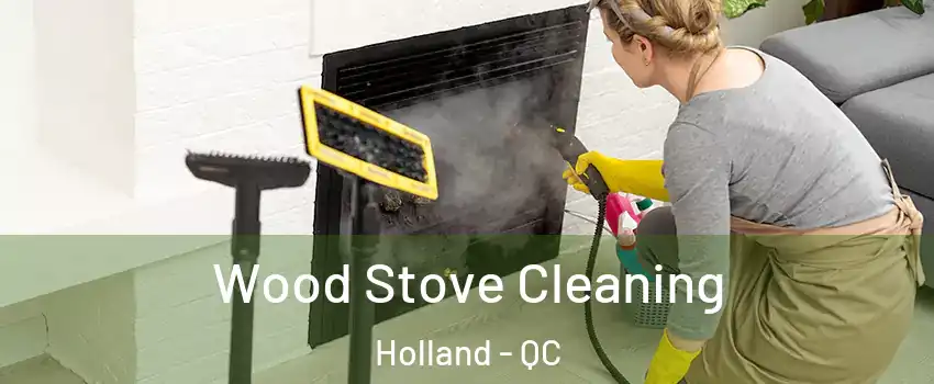  Wood Stove Cleaning Holland - QC