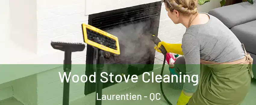 Wood Stove Cleaning Laurentien - QC