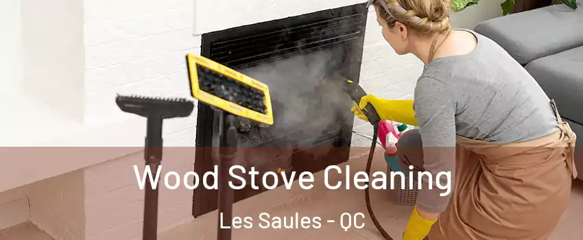  Wood Stove Cleaning Les Saules - QC