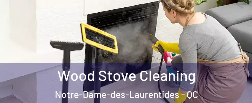 Wood Stove Cleaning Notre-Dame-des-Laurentides - QC